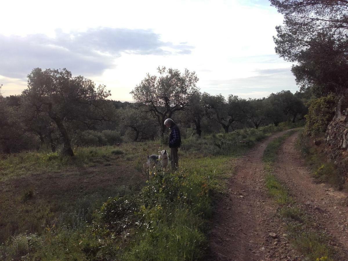 Gasthaus Ca L'Eli Different Experience Hutt 12157 Mont-roig del Camp Exterior foto